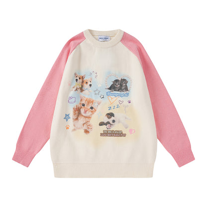 Serendipity Cute Animals Cats Dogs Raglan Pink Blue Black Knit Sweater Shirt