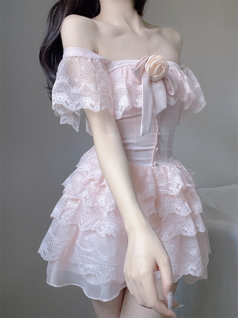 Rose Princess Pink Lace Fairy Spring Dress