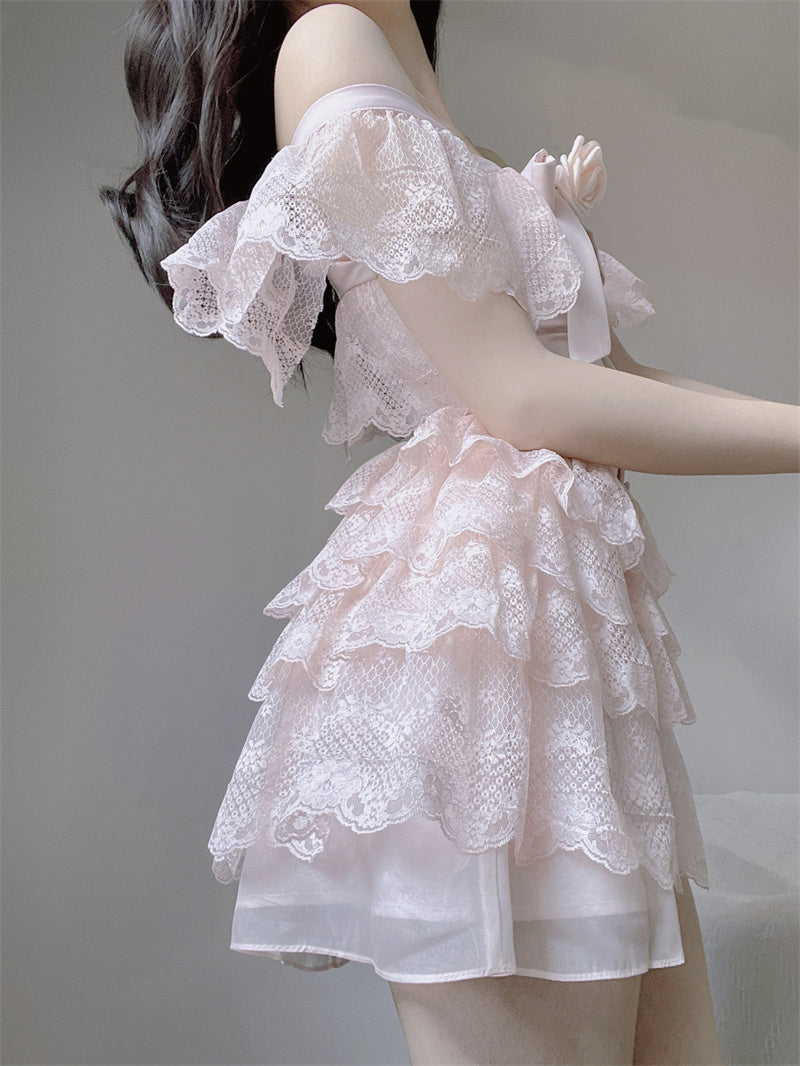 Rose Princess Pink Lace Fairy Spring Dress