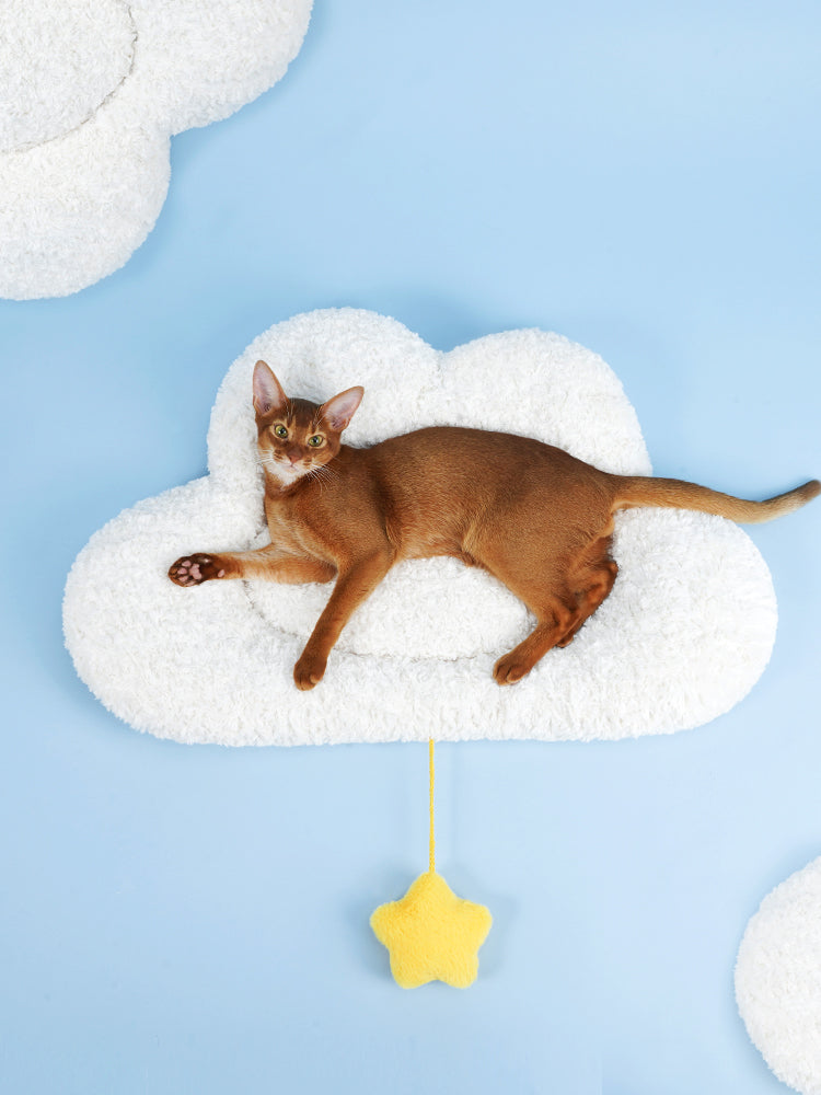 Cloud Kingdom Stars Soft Fluffy Cats Dogs Pets Beds