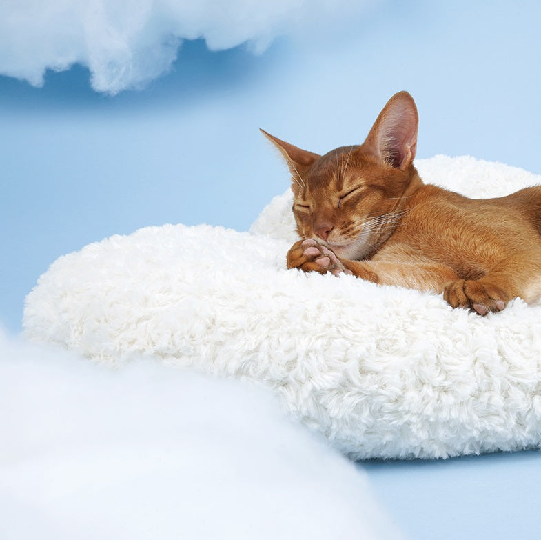 Cloud Kingdom Stars Soft Fluffy Cats Dogs Pets Beds